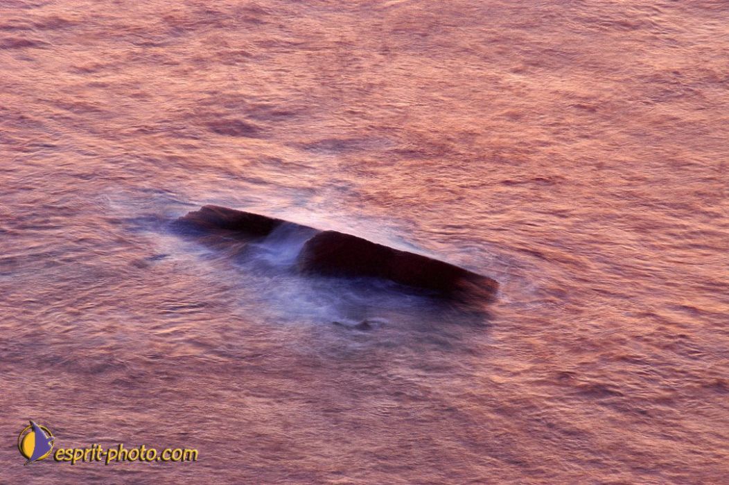 Nom de l'image : EP12a-007_(c)Norbert-JUNG — Description :